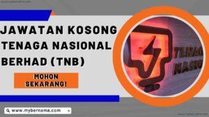 Tenaga Nasional Berhad (TNB)